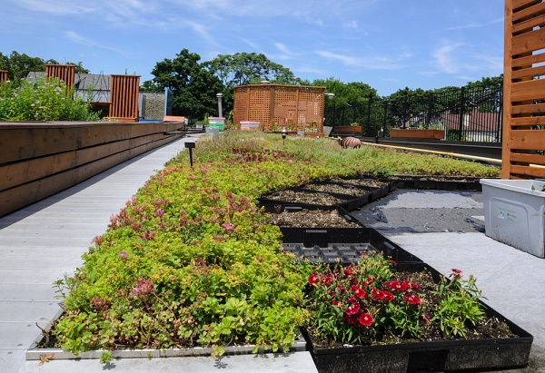 Green Roof, come creare un "tetto giardino"