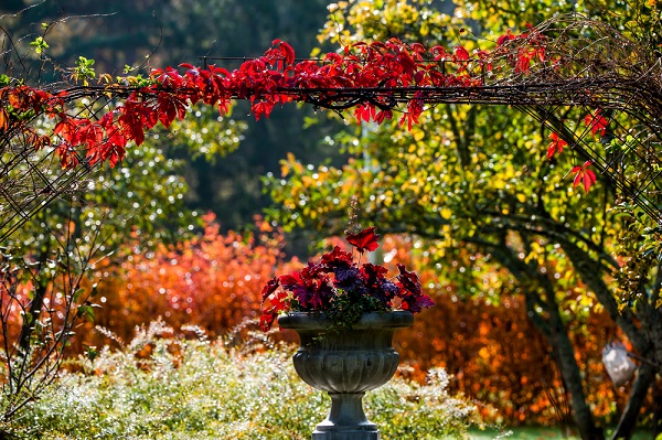 giardino autunnale