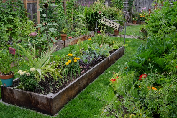 5 errori da evitare nel giardinaggio