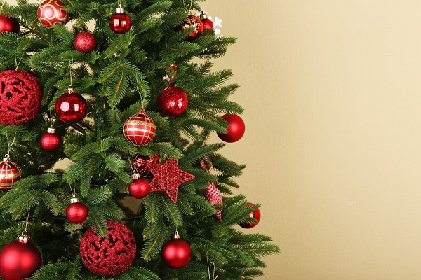 5 regole da seguire per un albero di natale ecologico