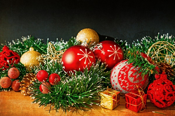 decorazioni-natale-piante-estreme