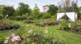 flower-market-i21-22-maggio-castello-quistini