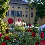 floravilla-castel-san-giovanni-28-maggio