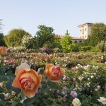 roseto castello quistini riapre 1 maggio