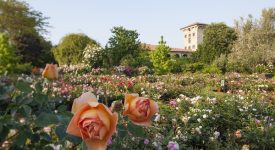 roseto castello quistini riapre 1 maggio