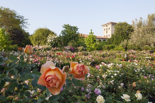 roseto castello quistini riapre 1 maggio