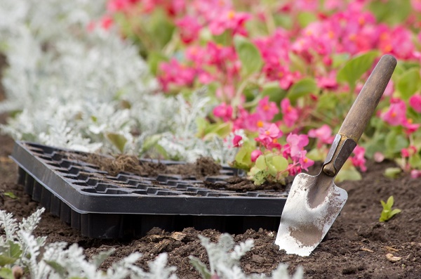 niente guerrilla gardening roma