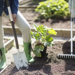 giardino che vorrei corso milano 14 maggio