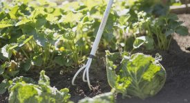 giardino che vorrei corso milano 14 maggio