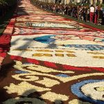 infiorata genzano 2016 petali