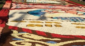 infiorata genzano 2016 petali