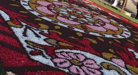 infiorata genzano 2016 petali
