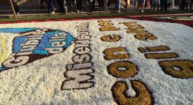 infiorata genzano 2016 petali