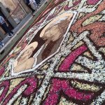 infiorata genzano 2016 petali