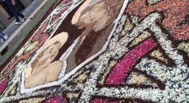 infiorata genzano 2016 petali