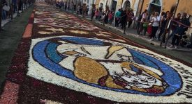 infiorata genzano 2016 petali