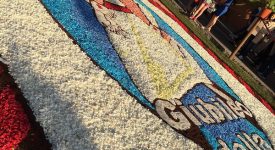 infiorata genzano 2016 petali