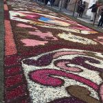 infiorata genzano 2016 petali