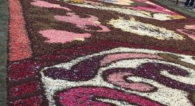 infiorata genzano 2016 petali