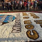 infiorata genzano 2016 petali