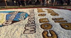 infiorata genzano 2016 petali