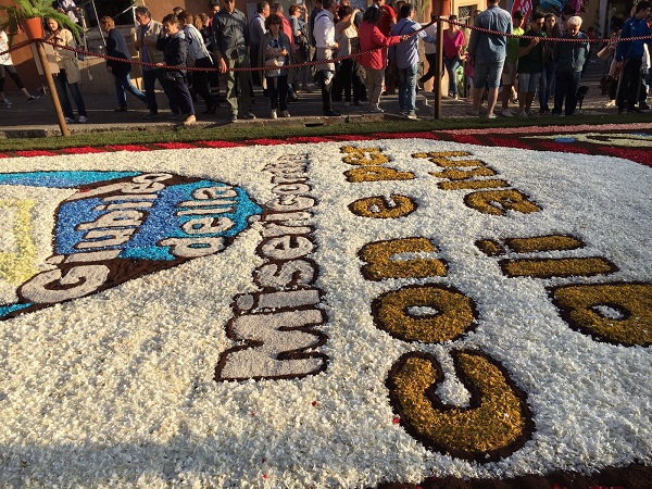 infiorata genzano 2016 petali