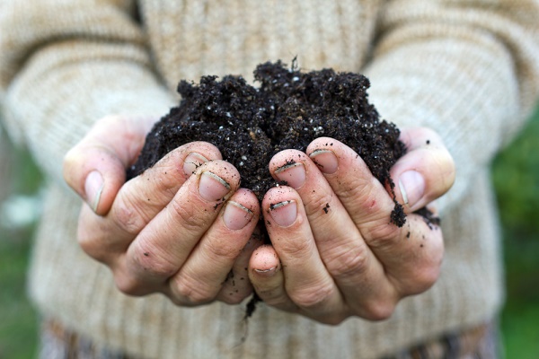 compost tra le mani