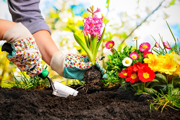 donna fa giardinaggio