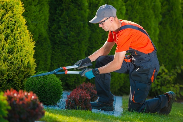 giardiniere professionista ora serve qualifica