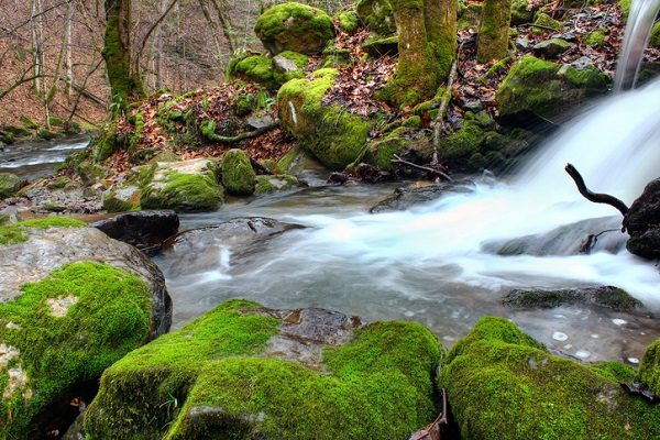 mountain stream