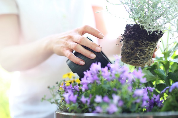 giardinaggio biologico come fare