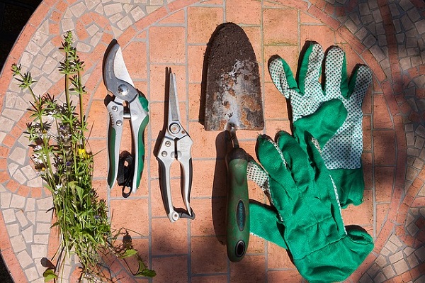 Giardinaggio, l’importanza dell’uso dei guanti