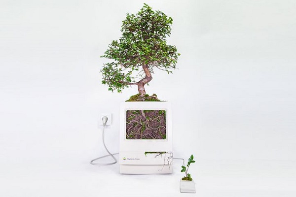 plant-your-mac