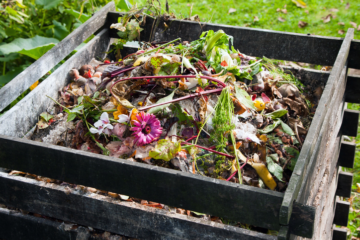 Compost bin