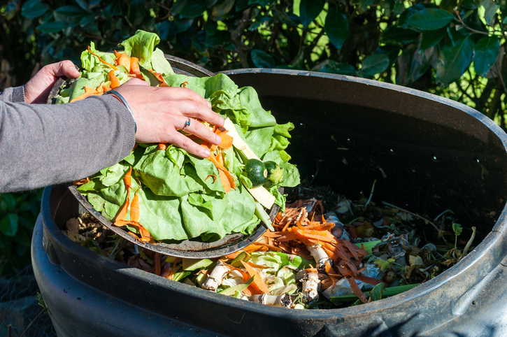 Come fare il compost fai da te per nutrire le piante