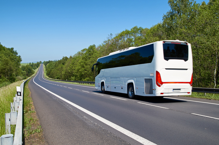 giardini sugli autobus