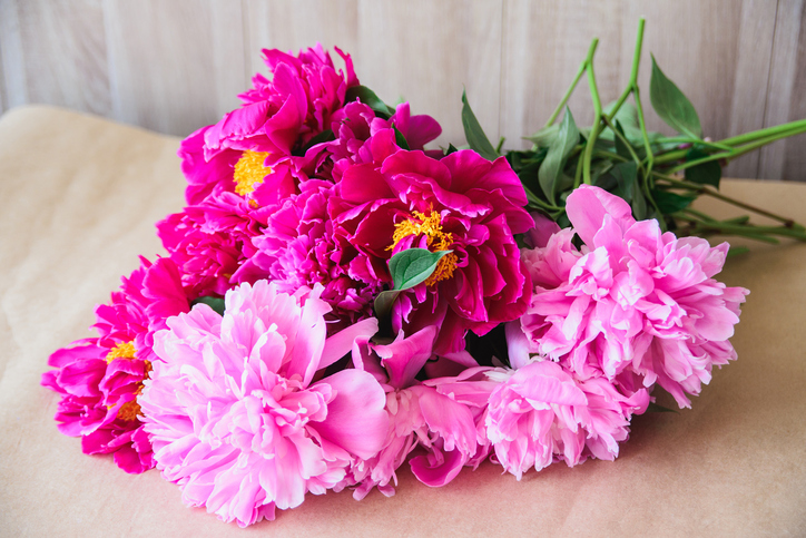 Red-pink peonies bouquet