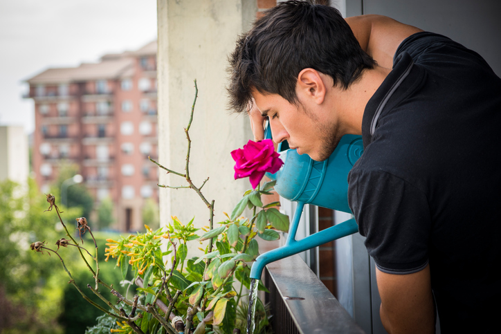 innaffiare le piante dal balcone