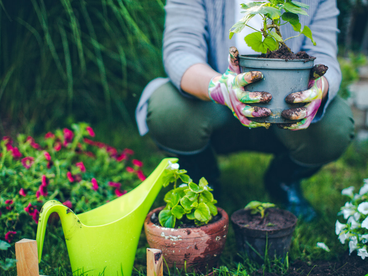 Proud gardener