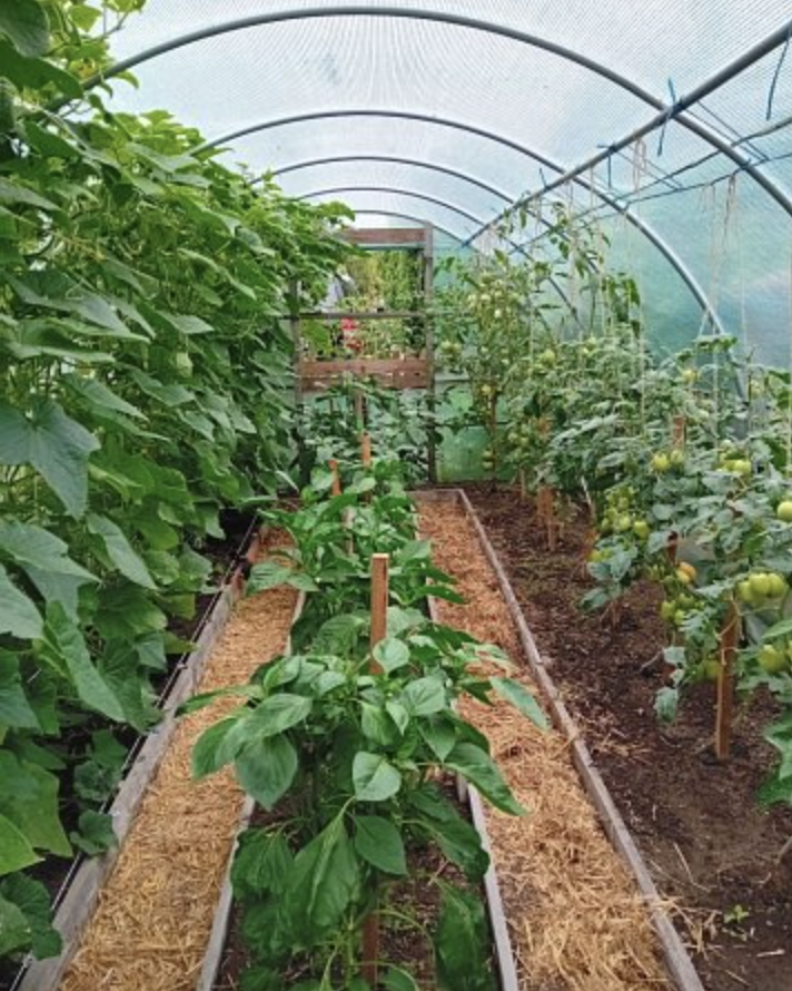 giardino tunnel serra