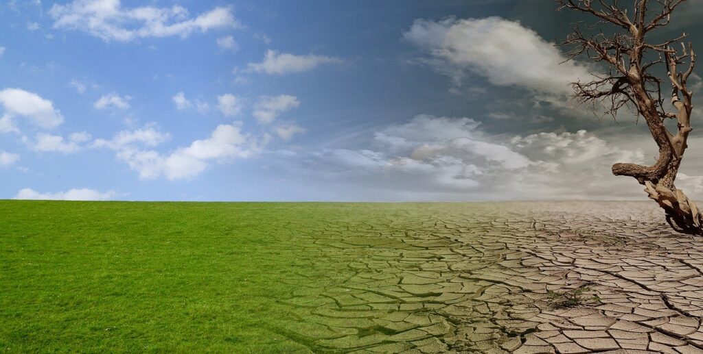 cambiamenti climatici