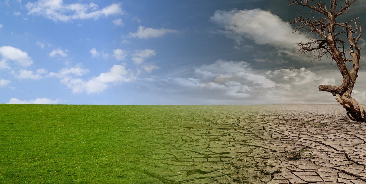 cambiamenti climatici