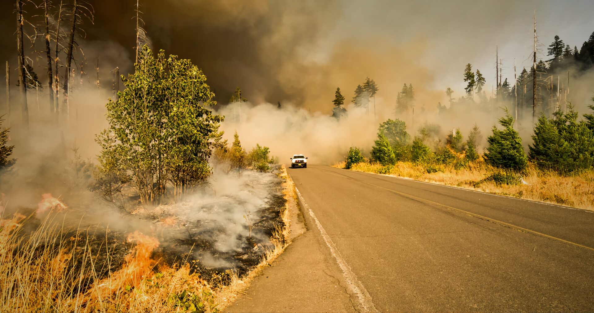 cambiamento climatico